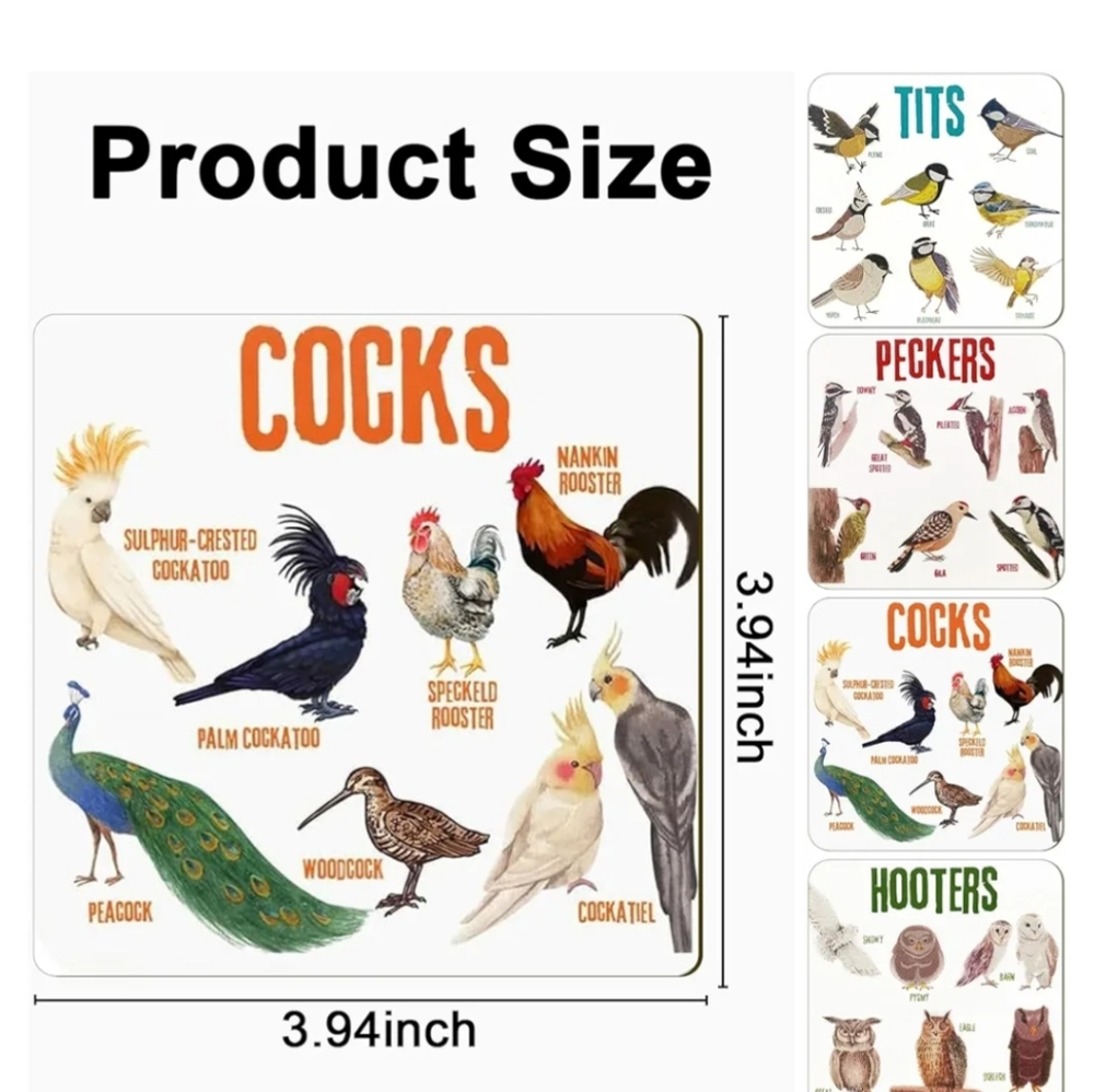 Bird Chart coasters - Picture 7 of 7